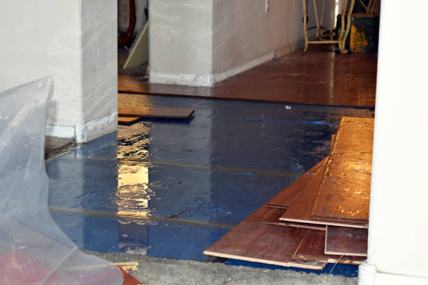Professional Flood Cleanup technician working in Grant, MI